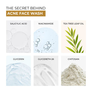 Acne face wash ingredients including Salicylic Acid, Niacinamide, Tea Tree Leaf Oil, Glycerin, Glycereth-26, and Chitosan.