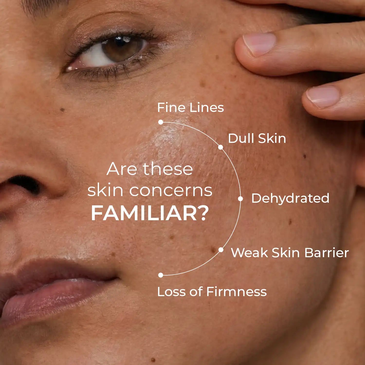 Plant Stem Cell Serum