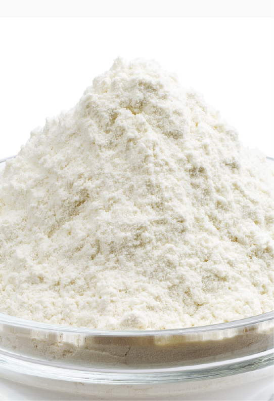 Chitosan 