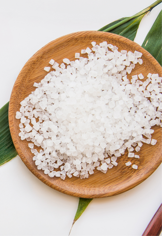 Sodium Polyglutamate