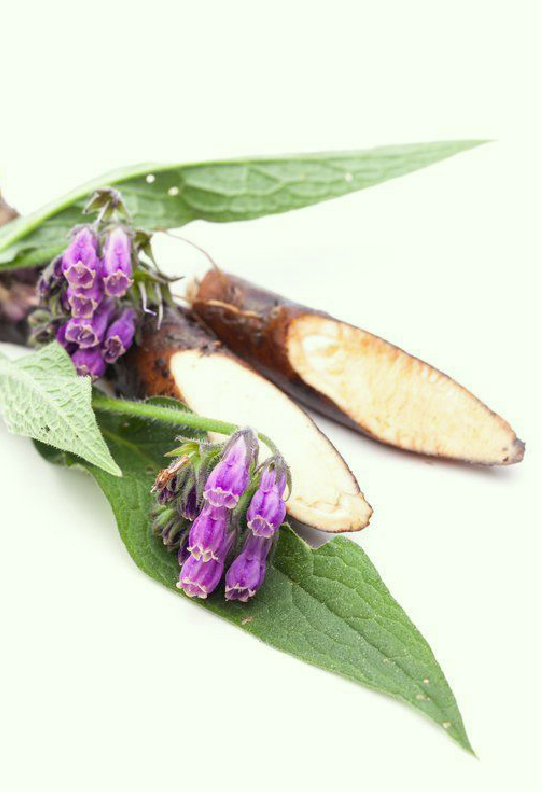 Allantoin
