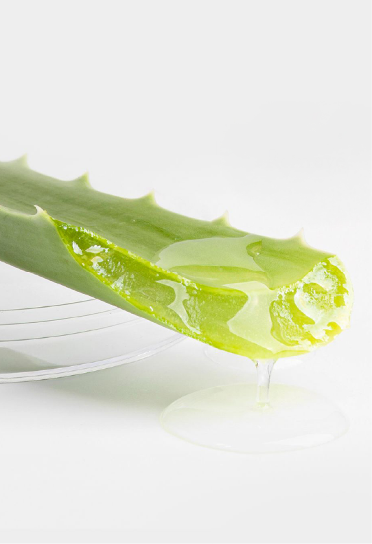 Aloe