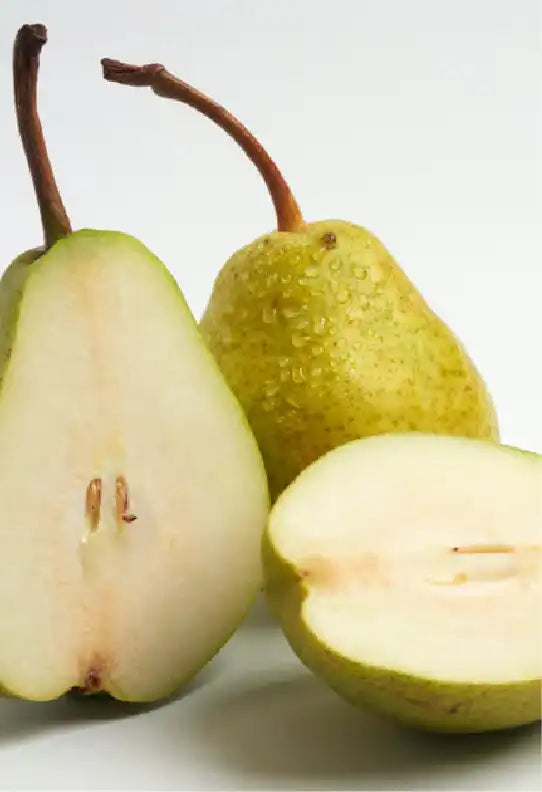 Pear Ferment