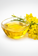 Rapeseed Oil