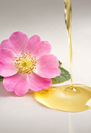 Rosa Rugosa Flower Oil