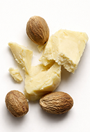 Shea Butter