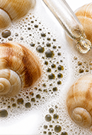 Snail Secretion Filtrate 