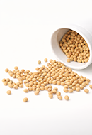 Soy Protein 