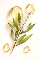 Tea Tree Oil