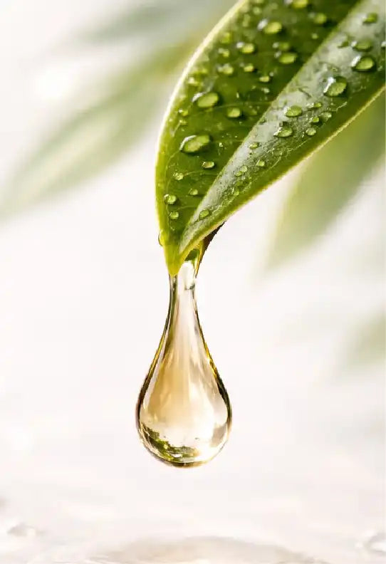 Tea Tree Oil