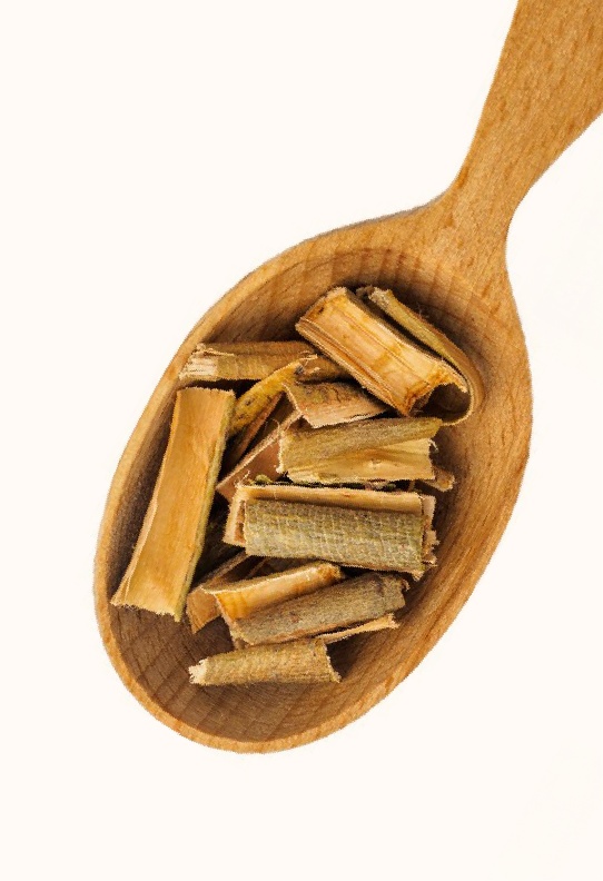 Willow Bark