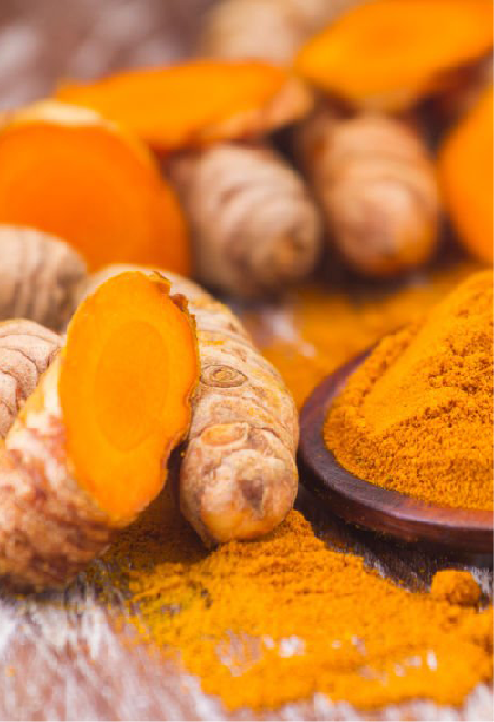 Turmeric Extract